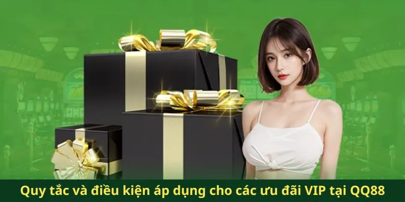 Quy tắc và điều kiện áp dụng cho các ưu đãi VIP tại QQ88