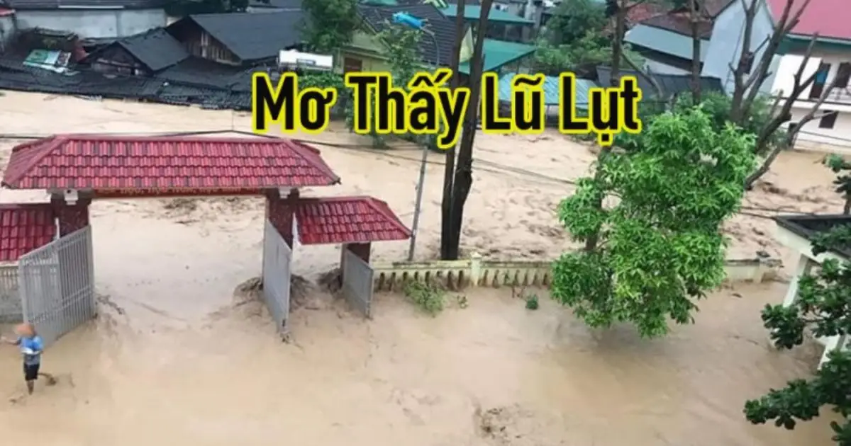 mơ thấy lũ lụt đánh số gì